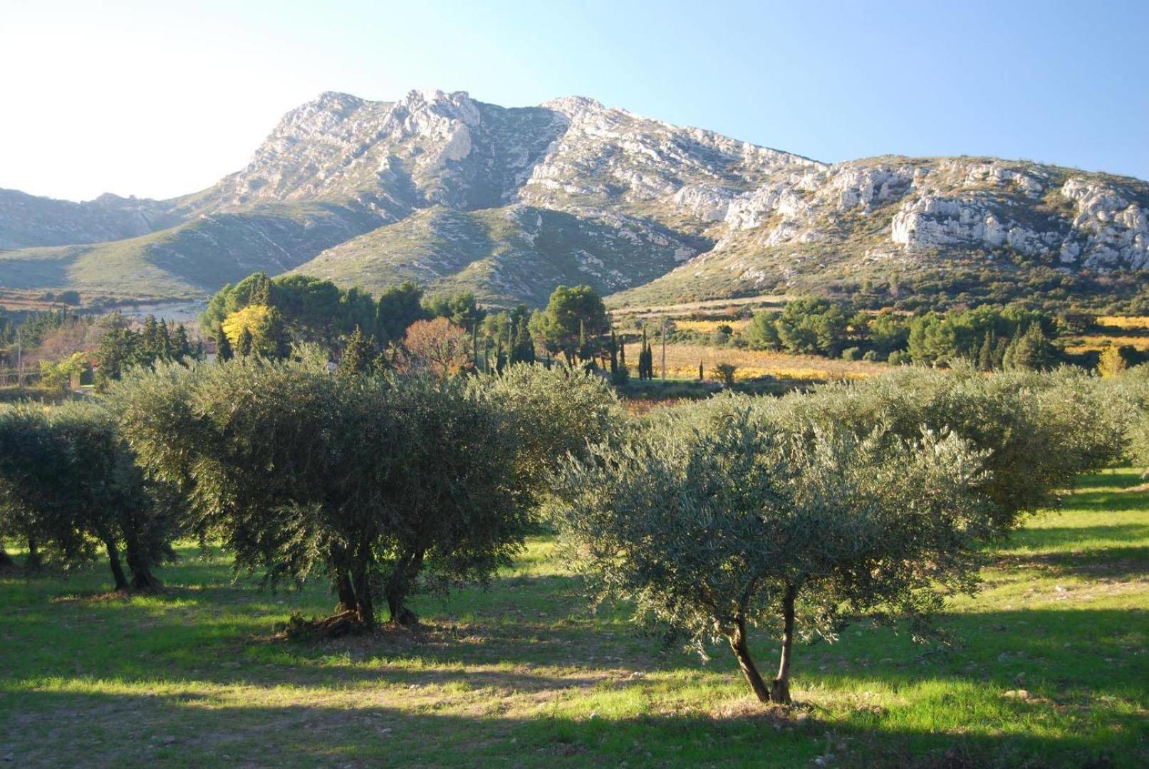 Appartement situé dans les Alpilles Mouries Exterior foto
