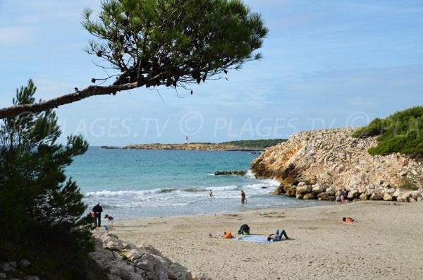 Appartement situé dans les Alpilles Mouries Exterior foto